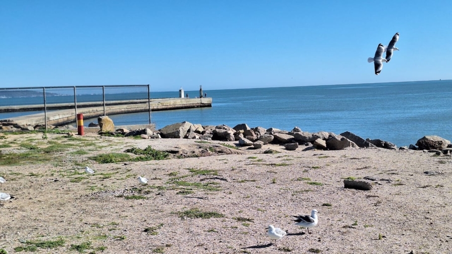 3 Bedroom Property for Sale in Port Owen Western Cape